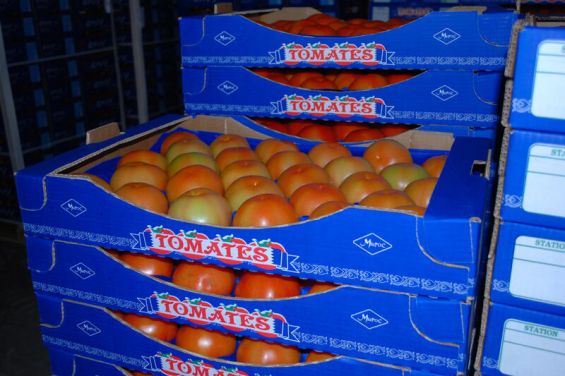 Hausse des exportations marocaines vers la Mauritanie 