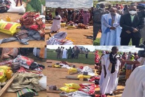 Le CSA apporte l'assistance à 389 familles au Guidimakha
