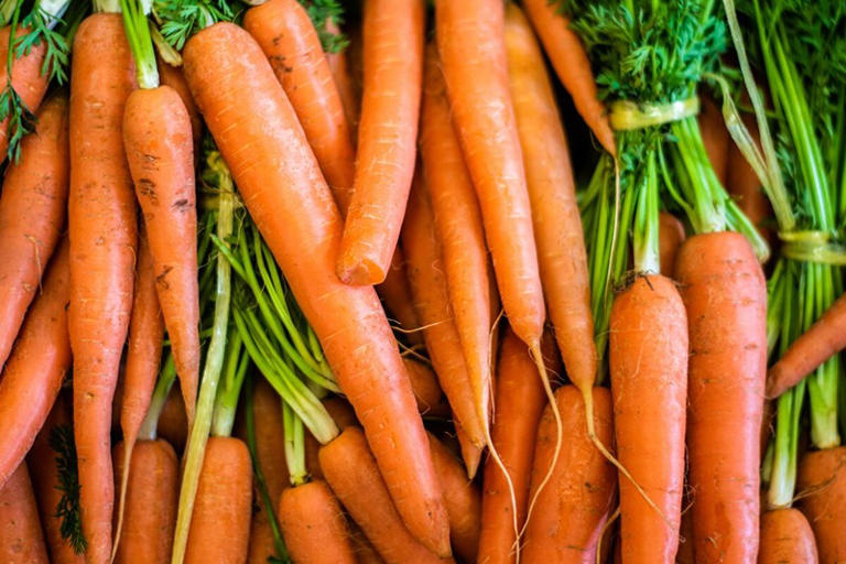 En 2022, le Maroc a exporté 60% de ses carottes en Mauritanie, rapporte EastFruit