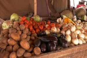 Mauritanie : la lutte contre la vie chère, nouvelle bataille à Nema 