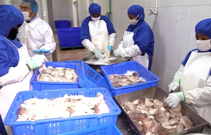 Nouakchott: le délestage refroidit les activités de congélation de poisson, des entreprises menacées de faillite