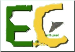 Concert - Tolérance Zéro... 