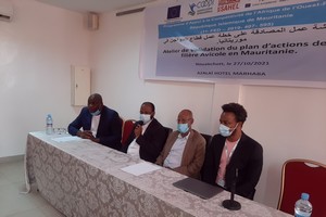 Filière avicole : Atelier de validation du plan d’actions de la filière Avicole en Mauritanie