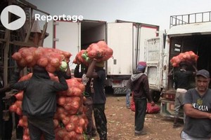 Vidéo. Mauritanie: le marché reste bien approvisionné en fruits et légumes venus du Maroc