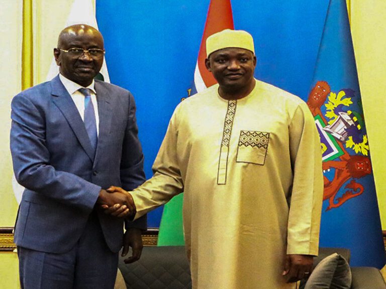 Le ministre des affaires étrangères remet un message de S.E. le président de la République à son homologue gambien