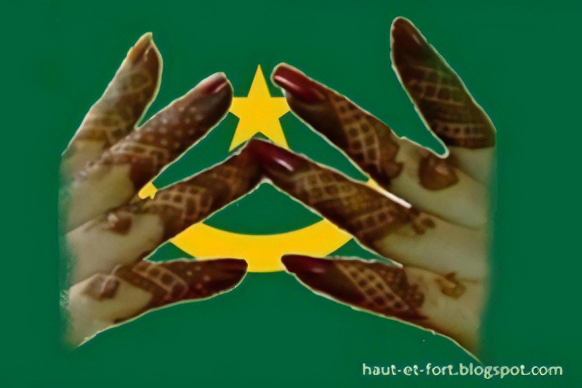 Cour des comptes : Mais où sont les femmes ?  Par Pr ELY Mustapha