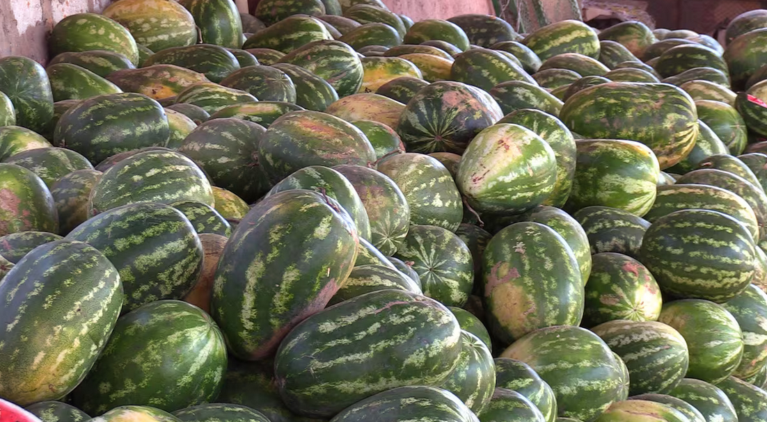 Mauritanie: la «pastèque marocaine» cultivée à Rosso inonde Nouakchott et fait chuter les prix de 50%