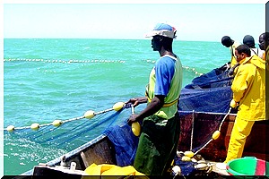 Malaise social : La colère gronde chez les marins pêcheurs à Nouadhibou.