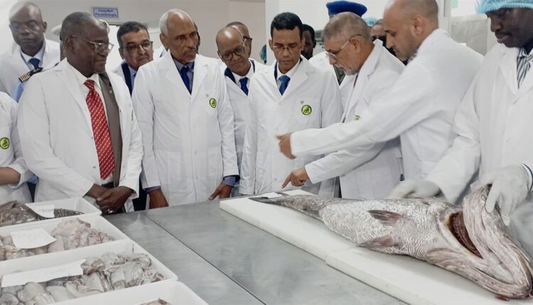 Le laisser-aller n’est plus acceptable et il est désormais exigé de servir le pays avec transparence (Ministre de la Pêche)