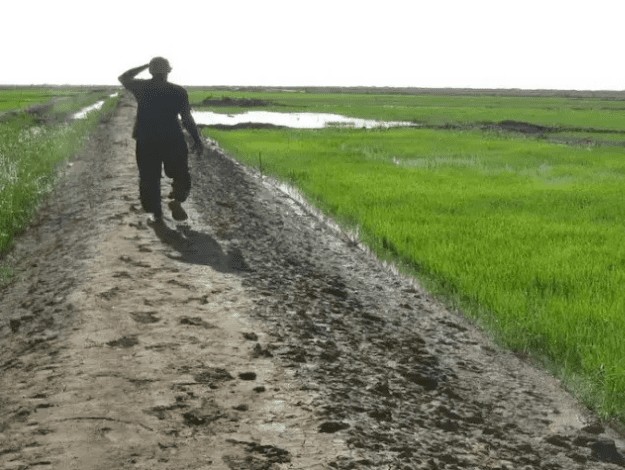 Première phase pour la sélection de 50 travailleurs agricoles devant se rendre en Espagne