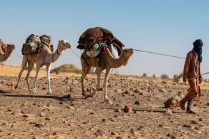 La Mauritanie rouvre son Sahara aux touristes   